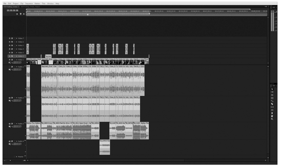 Figure 47-4 You can save time by using the “add marker” tool found in your editing software.