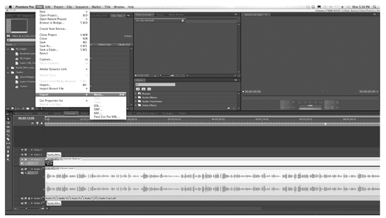 Figure 65-3 Adobe Premiere Pro preserves the format of your video while you work so that it is faster when it comes to compressing.