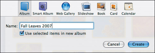 Next, select Album from the icon list, name the album, and click Create.