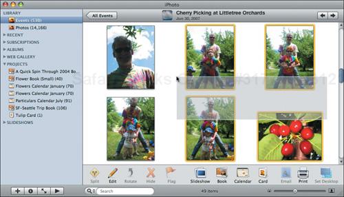 To select multiple pictures by dragging, click in an empty area of the display pane, and then drag a selection rectangle over the desired photos.