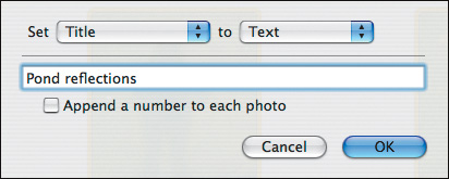 Batch Change enables you to set the titles of multiple selected photos all at once, appending numbers if you so desire.