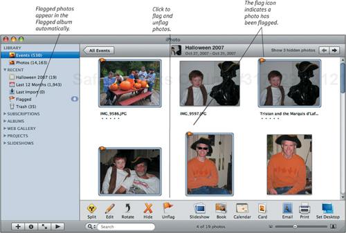 Flagged photos have an orange flag icon next to the upper-left corner of their thumbnails, as you can see above.