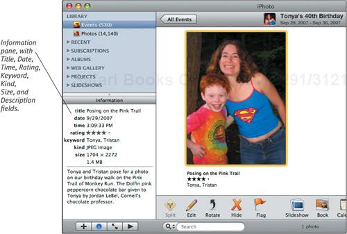 iPhoto’s Information pane displays some basic information about selected photos.