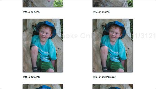 Notice how the duplicated photo appears next to its original and how it has “copy” appended to its title.