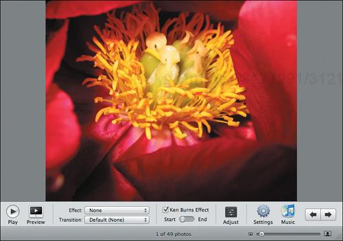 For my starting point on this slide, I’ve zoomed only slightly so you can see the entire flower in the frame.