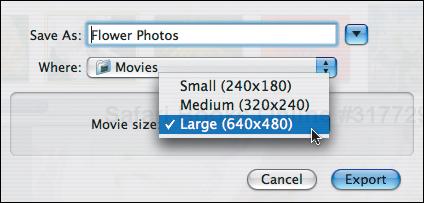 In the Export dialog, name your movie, choose a destination folder, and choose how large you want the movie to be.