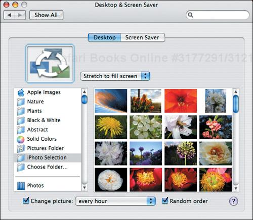 In the Desktop view of your Desktop & Screen Saver preferences, configure how you want your Desktop pictures to appear, and how often they should rotate.