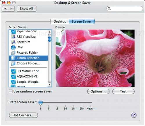 When you click the Desktop button in iPhoto, the Desktop & Screen Saver preference pane opens automatically.
