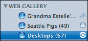 When iPhoto is synchronizing with .Mac, it shows a spinning progress icon next to the Web gallery.
