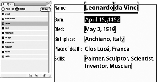Using the Text tool, select the text April 15, 1452. Note how the born tag highlights.