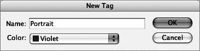 Type Portrait in the New Tag dialog. The tag name typed here must match the element name from the XML file exactly, as we explain in Chapter 1. Click OK.