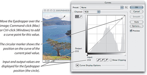 The Eyedropper in the Curves dialog