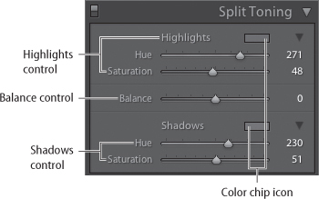 Use the Split Toning panel to add a unique color-tone effect.