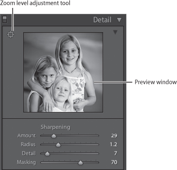 The Sharpening controls are in the Develop module Detail panel. The preview window shows this lower resolution image at 100 percent.