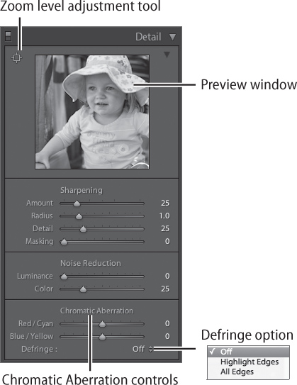 The Chromatic Aberration controls are located in the Develop module Detail panel.