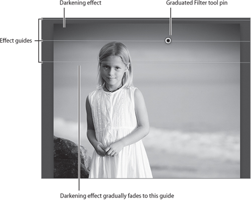 The Graduated Filter tool pin and effect guides help you see the area that is affected.