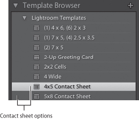 The two default contact sheet options are in the Template Browser. You can choose between a 4×5 and a 5×8 layout, depending on your needs.