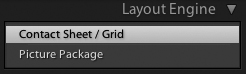 Select the Contact Sheet/Grid layout in the Layout Engine panel.