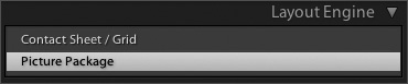 Use the Layout Engine panel to select Picture Package or to confirm what type of template that you have chosen.