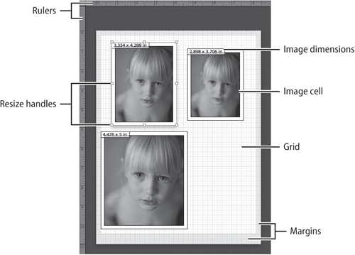 The Image Settings and Rulers, Grid & Guides options help you visually customize the layout.