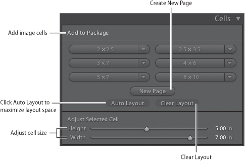 Use the Cells panel to add and adjust image cells to your Picture Package layout.