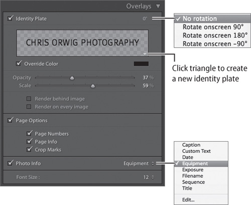 Use the Overlays panel to add an Identity Plate, Page Options, and Photo Info to your print layouts.