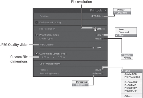 Printing to JPEG is a new option that comes with Lightroom 2. Use these controls to ensure the best quality when you are going to send the images to a lab to be printed.