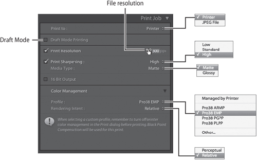 Use the Print to Printer option to ensure the highest-quality possible print when you are printing directly to a desktop printer.