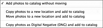 Choose the File Import dialog option that works best for you. While all four options import photos, each one works a bit differently.