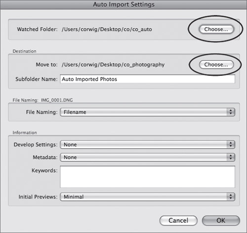 Use the Auto Import dialog to enable and specify the Auto Import Settings.