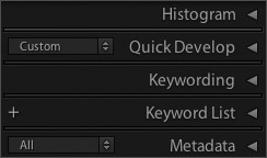 The right side panels in the Library module.