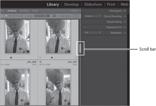 Use the scroll bar to scroll through the thumbnails in the Library module Grid View.