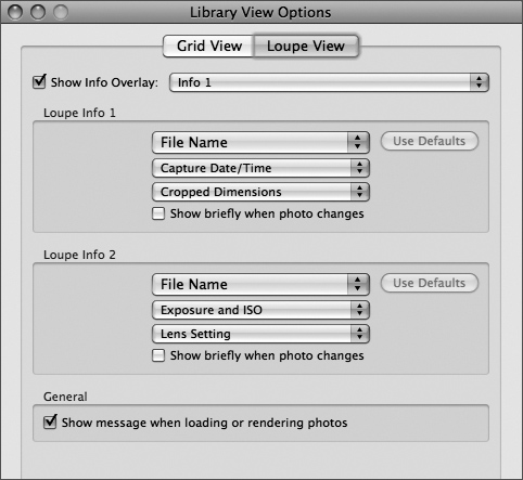 Use the Library View Options dialog to customize the Loupe View Info Overlay.