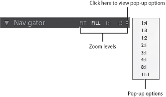 To switch between zoom levels click one of the options in the Navigator panel or choose an option from the pop-up menu.