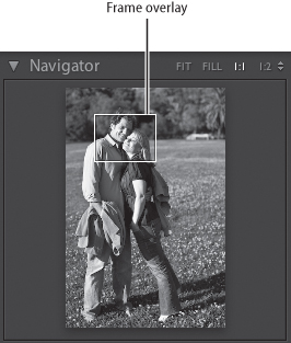 Use the frame overlay in the Navigator panel to view the hidden areas of the image.