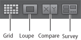 In the Library module, the Compare and Survey icons are in the toolbar next to the Grid View and Loupe View icons.