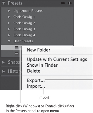 Right-click (Windows) or Control-click (Mac) in the Preset panel to create a New Folder, Update with Current Settings, Show in Finder, Delete, Export, or Import.