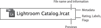 The Lightroom Catalog file contains valuable information about your images. You can think of a catalog as a small, self-contained database for your images.