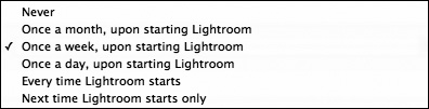 Choose a backup option that reflects your use of Lightroom.