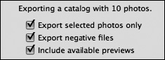 The options when exporting as Catalog.