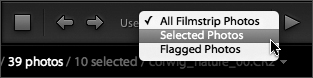 The Use menu lets you control which photos are included in your slideshow based on the photos that are selected or flagged.