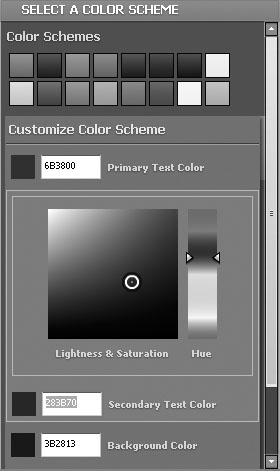 Choose an alternate color scheme or customize the colors used for editing and in the finished portfolio.