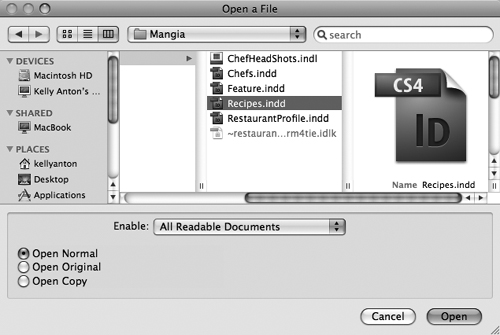 The Open a File dialog box lets you open original files or copies of files.