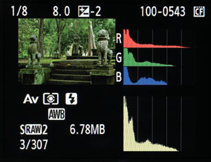 The fourth display option shows you a color histogram.