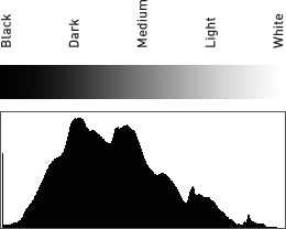 This is a typical histogram, where the dark to light tones run from left to right. The black to white gradient above the graph demonstrates where the tones lie on the graph and would not appear above your camera histogram display.