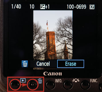 Deleting images on the 50D is simple.