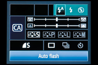 This setting shows the flash being set for Auto mode.