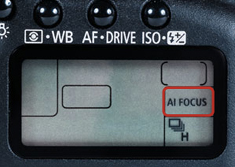Setting your focus mode to AI Focus.