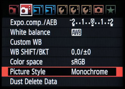 Setting Your Picture Style to Monochrome