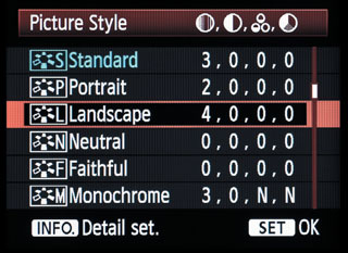 Setting Up the Landscape Picture Style